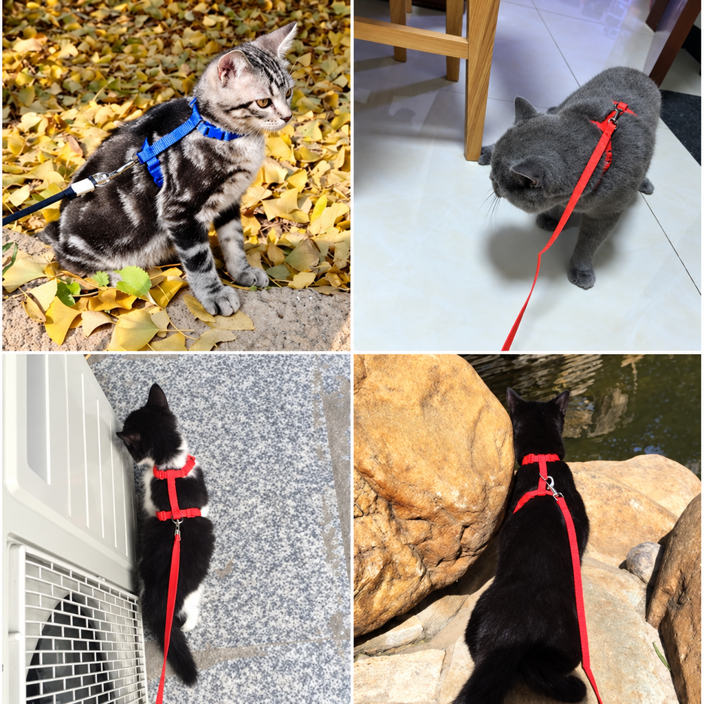 Kedi Tasması - ürün görünümü