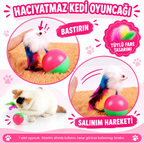 Kedi Fare Hacıyatmaz Oyunu - özellik ve kullanım bilgileri