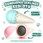 Dondurma Şeklinde Kedi Nanesi Kedi Otu - özellik ve kullanım bilgileri