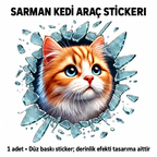Fulcar Sarman Araç Stickerı - özellik ve kullanım bilgileri