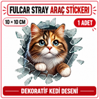 Fulcar Stray Araç Stickerı - özellik ve kullanım bilgileri