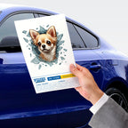 Fulcar Chiuahua Araç Stickerı - ürün görünümü