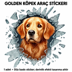 Fulcar Golden Araç Stickerı - özellik ve kullanım bilgileri