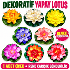 Dekoratif Yapay Lotus Çiçeği - özellik ve kullanım bilgileri