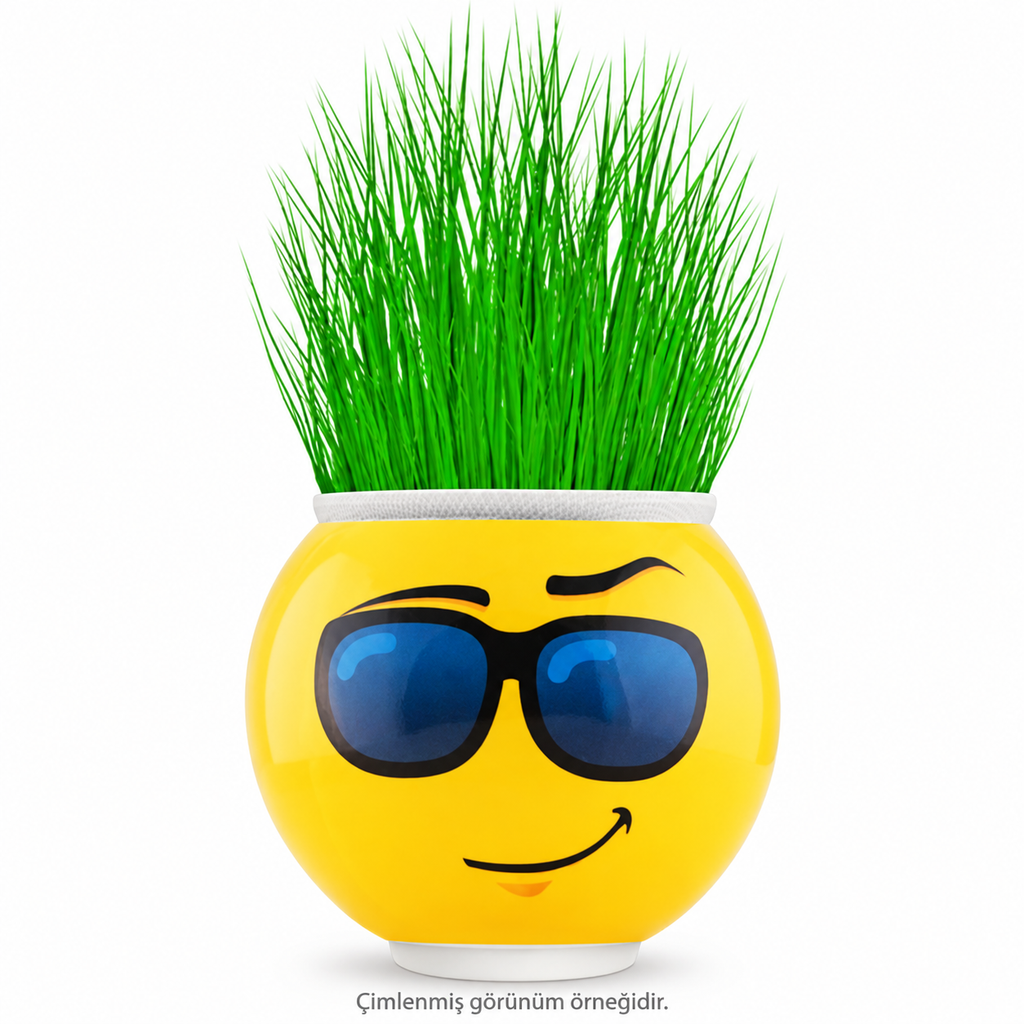 Çim Adam Saksı Emoji Figürlü 1 Adet - ürün görünümü