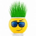 Çim Adam Saksı Emoji Figürlü 1 Adet - ürün görünümü