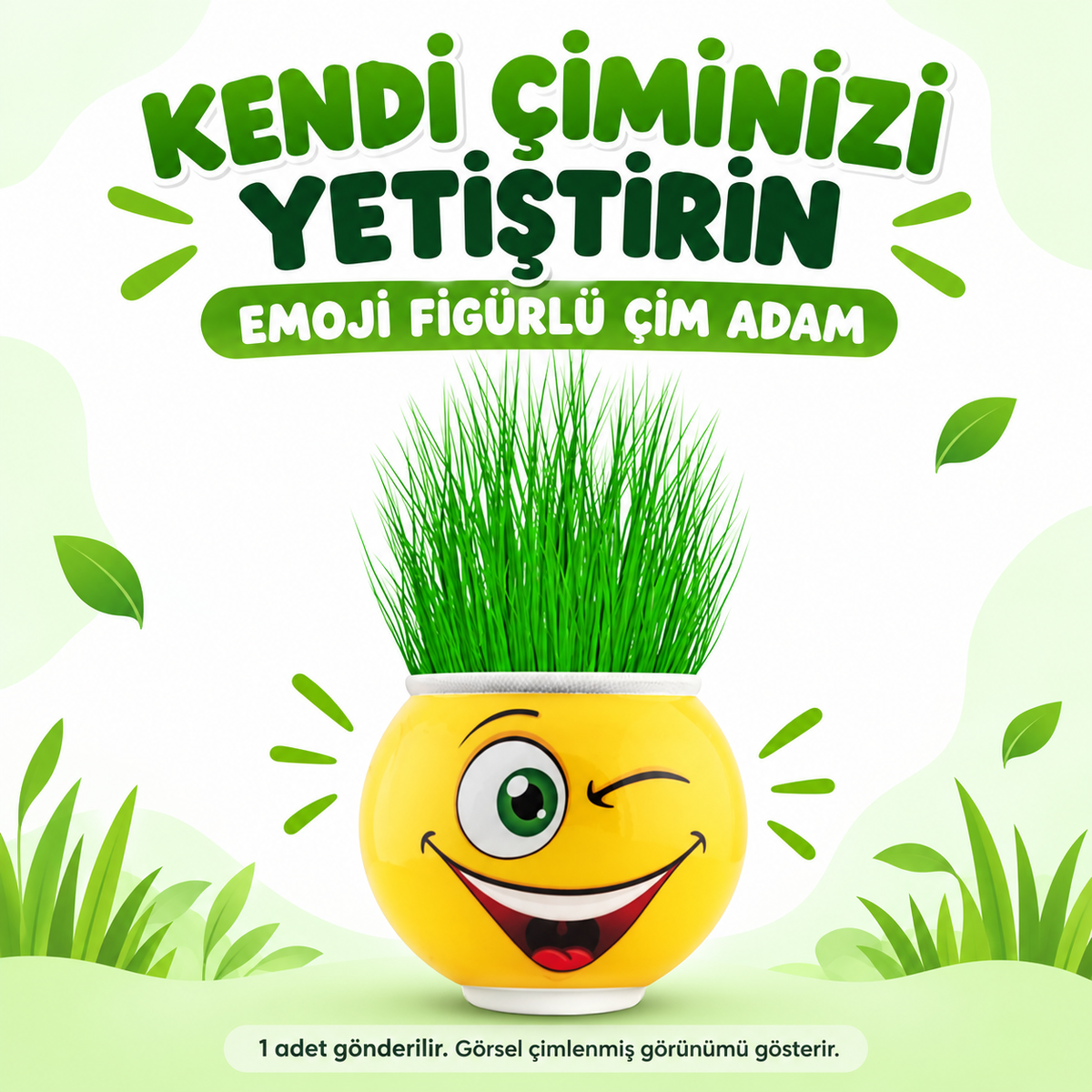 Çim Adam Saksı Emoji Figürlü 1 Adet - özellik ve kullanım bilgileri