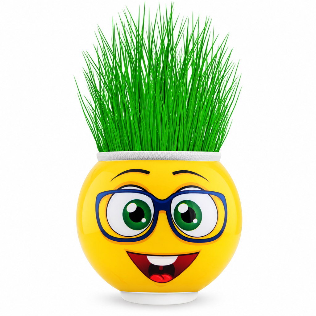 Çim Adam Saksı Emoji Figürlü 1 Adet - ürün görünümü