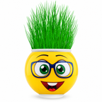 Çim Adam Saksı Emoji Figürlü 1 Adet - ürün görünümü