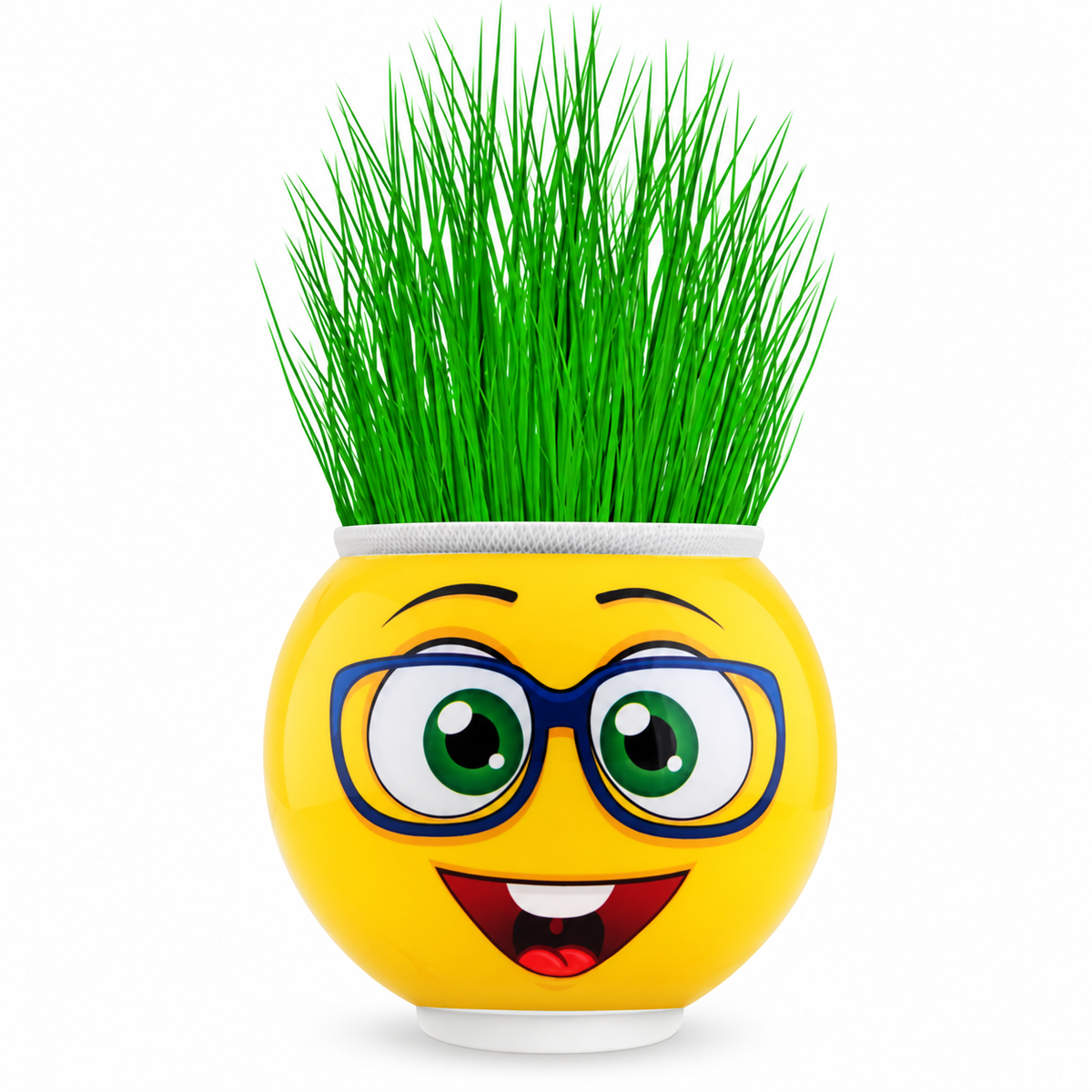 Çim Adam Saksı Emoji Figürlü 1 Adet - ürün görünümü