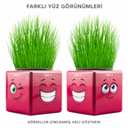 Çim Adam Mini Küp Emoji Figürlü 1 Adet - ürün görünümü