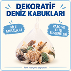 Dekoratif Vazo Taşı - Midye ve Deniz Kabuğu - Fileli Renkli Mix - özellik ve kullanım bilgileri